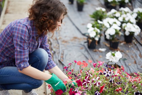 Gardener pruning in a Kentish Town front garden