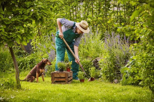 Gardener at work with tools in a backyard