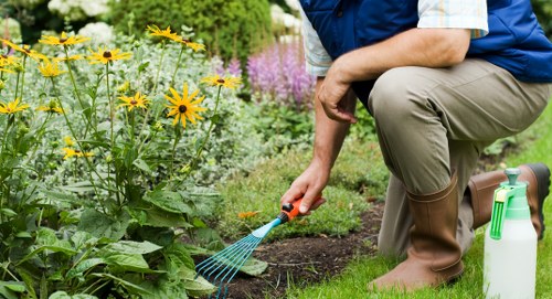Gardener preparing a small London garden