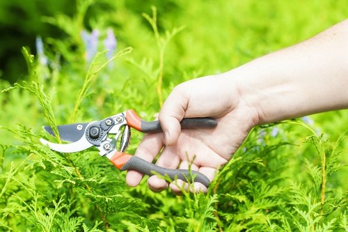 Garden clearance in a terraced house backyard