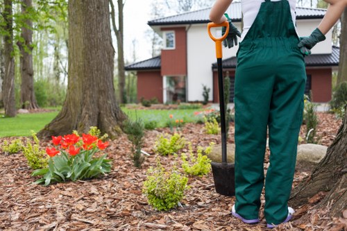 An inclusive community gardening session with seating and level pathways